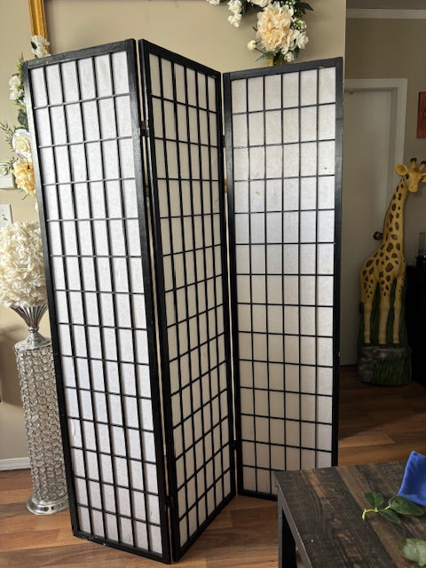 Black Room Divider