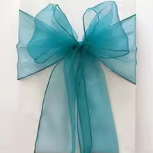 Aqua Blue Organza Sash