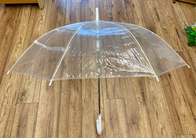Clear Umbrella with Black Rod