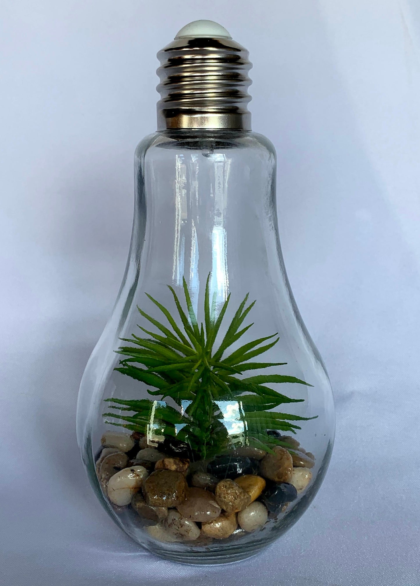 Terrarium Light Bulb Centerpiece