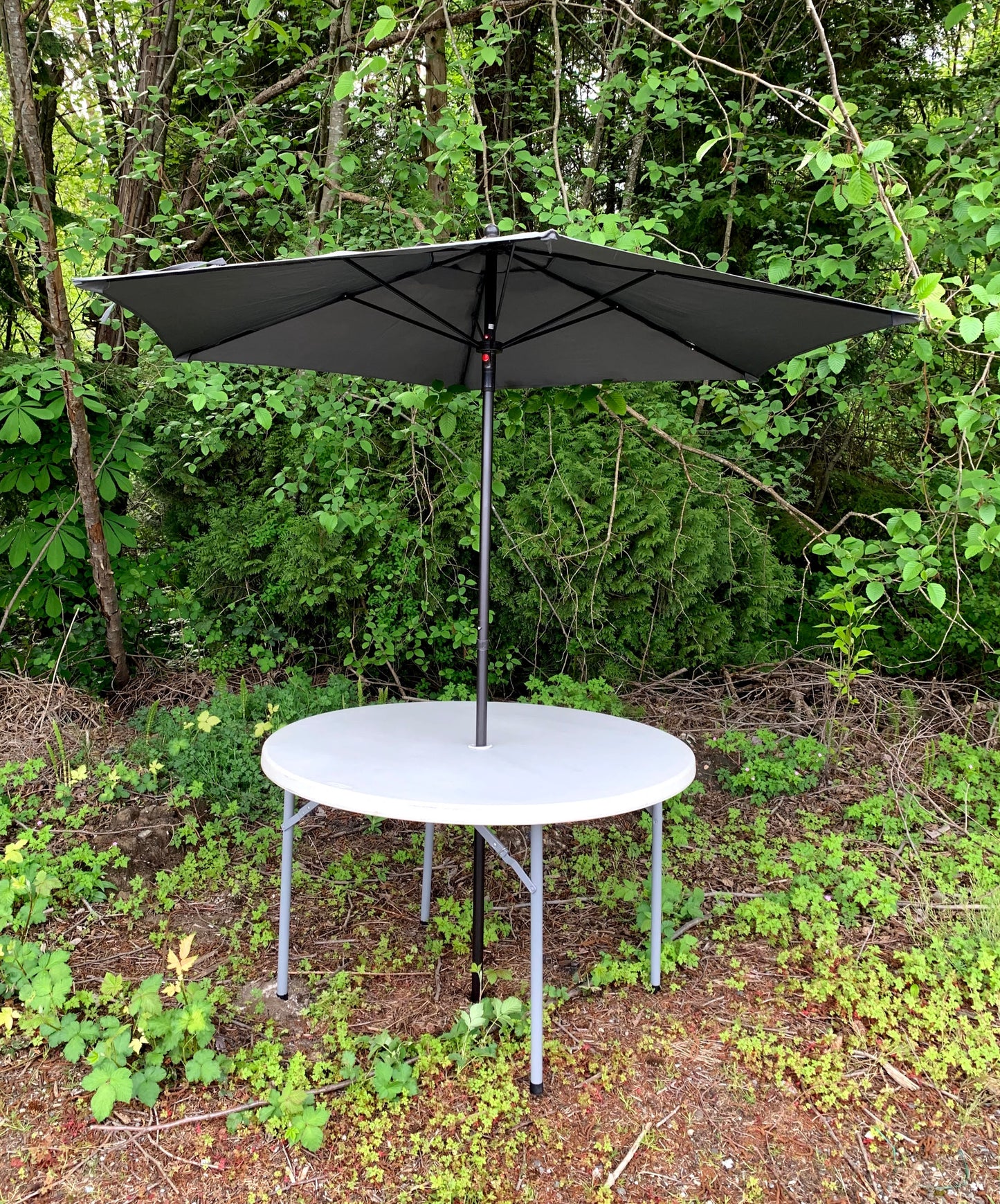 Table Umbrella