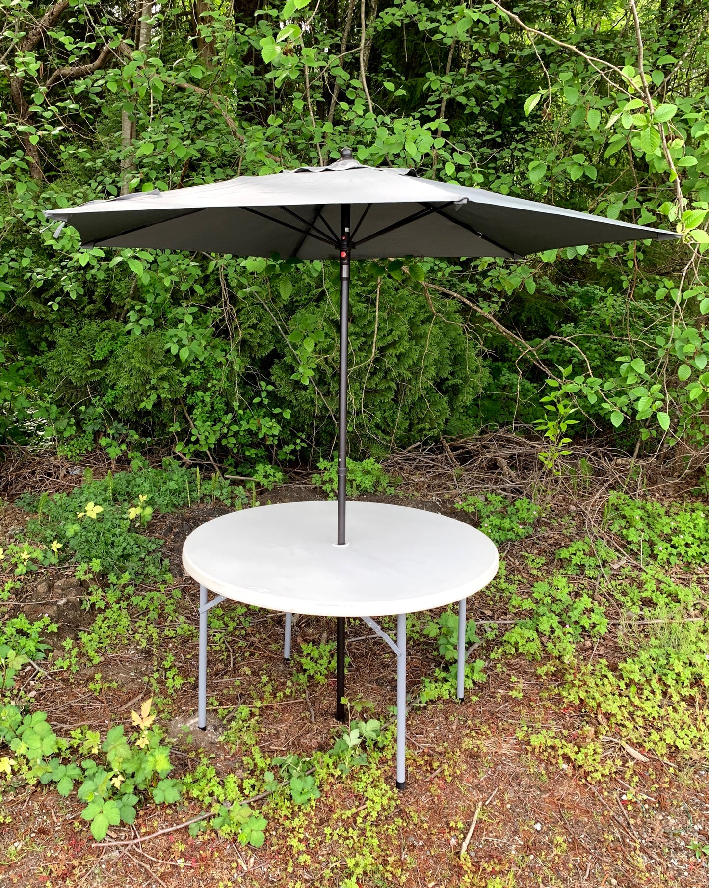 Table Umbrella
