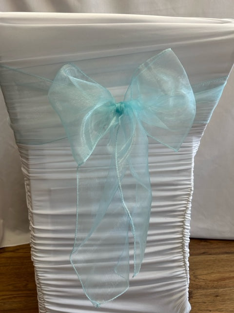 Baby Blue Organza Sash