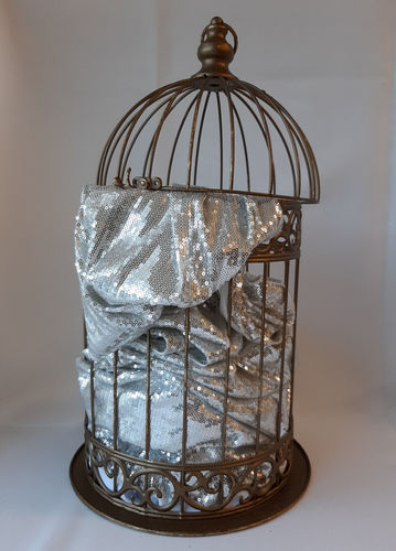 Shimmery Silver Runner