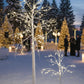 8' Birch Light Up Trees