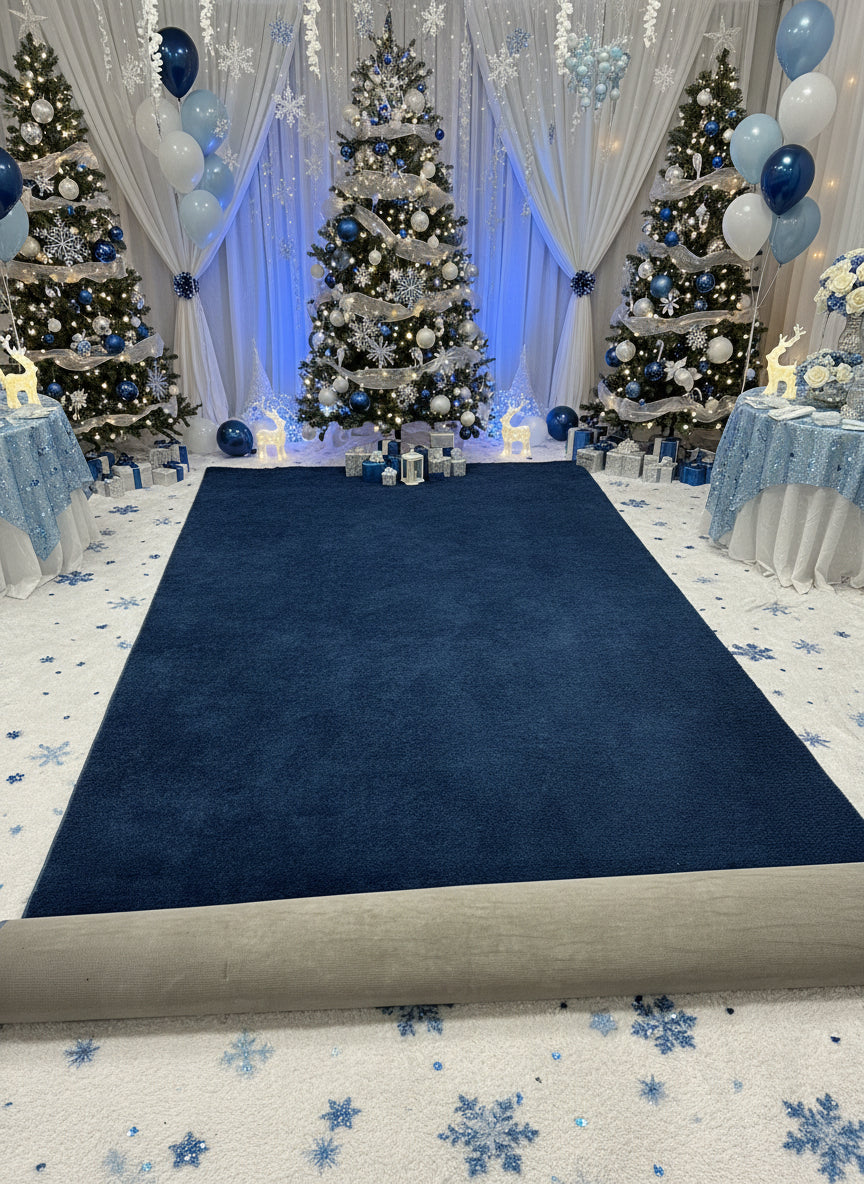 Blue Carpet 11.5' x 6'