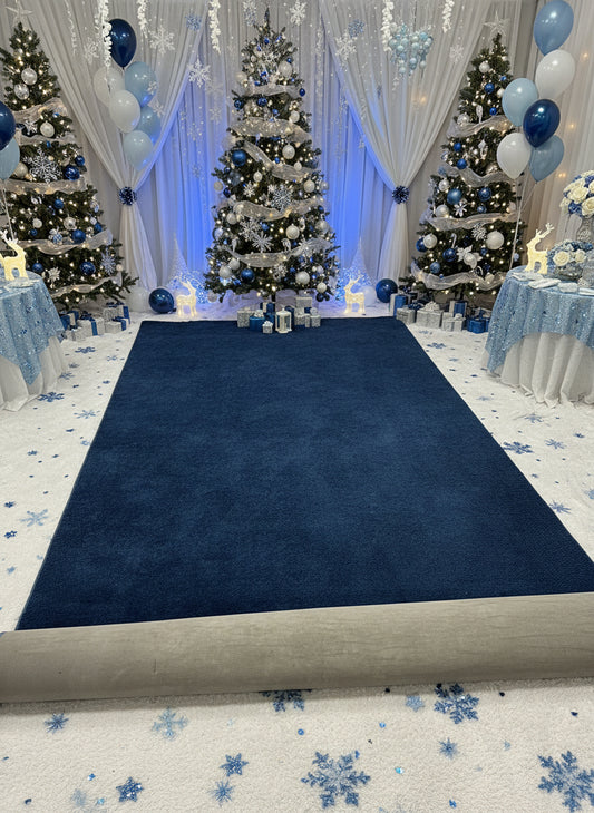 Blue Carpet 11.5' x 6'