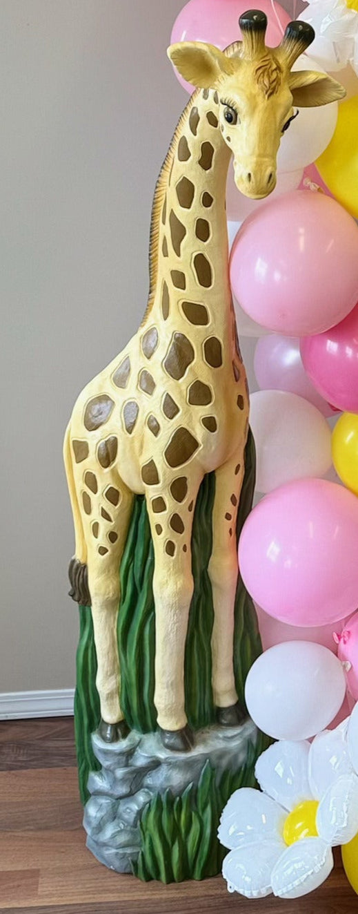 Baby Giraffe