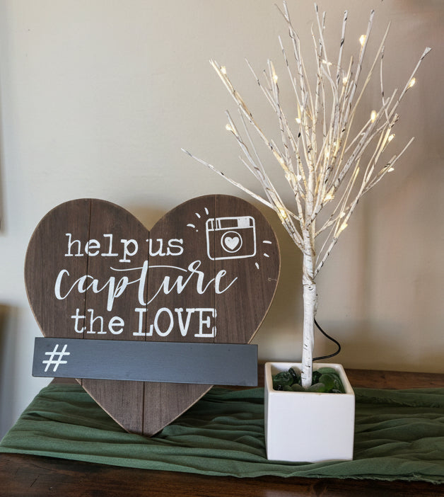 Small Light Up Birch Tree (Batteries Included)