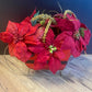 Santa Sleigh with Poinsetta Flowers