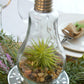 Terrarium Light Bulb Centerpiece