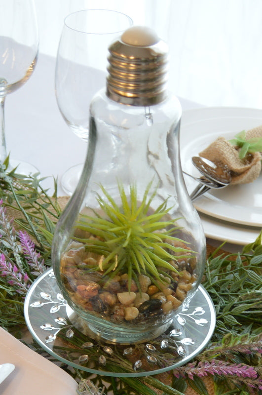 Terrarium Light Bulb Centerpiece