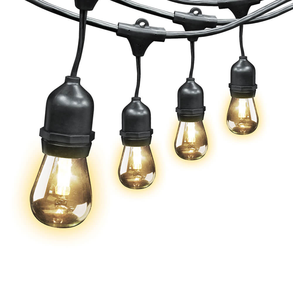 48' string Edison Light Set