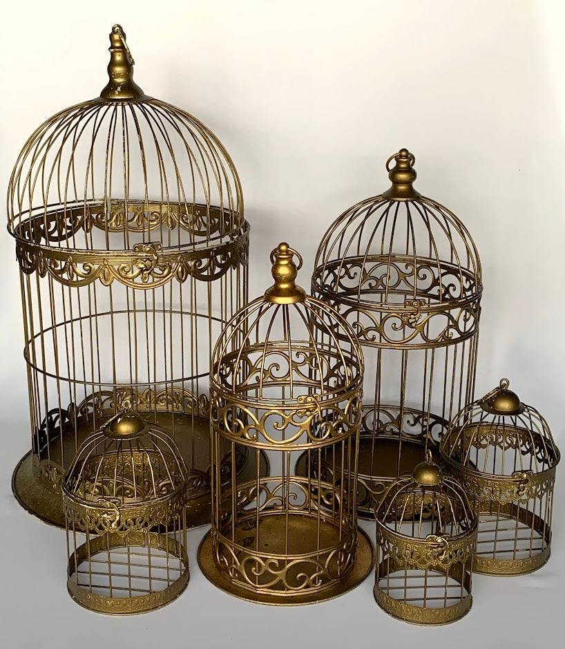 Birdcage gold 8" x 5"